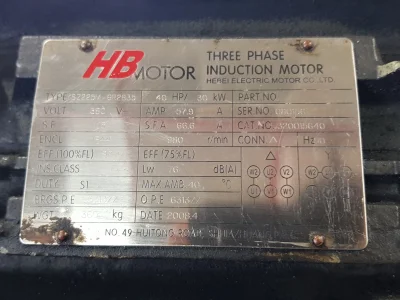30 kw (40 HP) AC 1000 Devir (d/d) Trifaze Elektrik Motoru (Flanşlı Tip) - 2